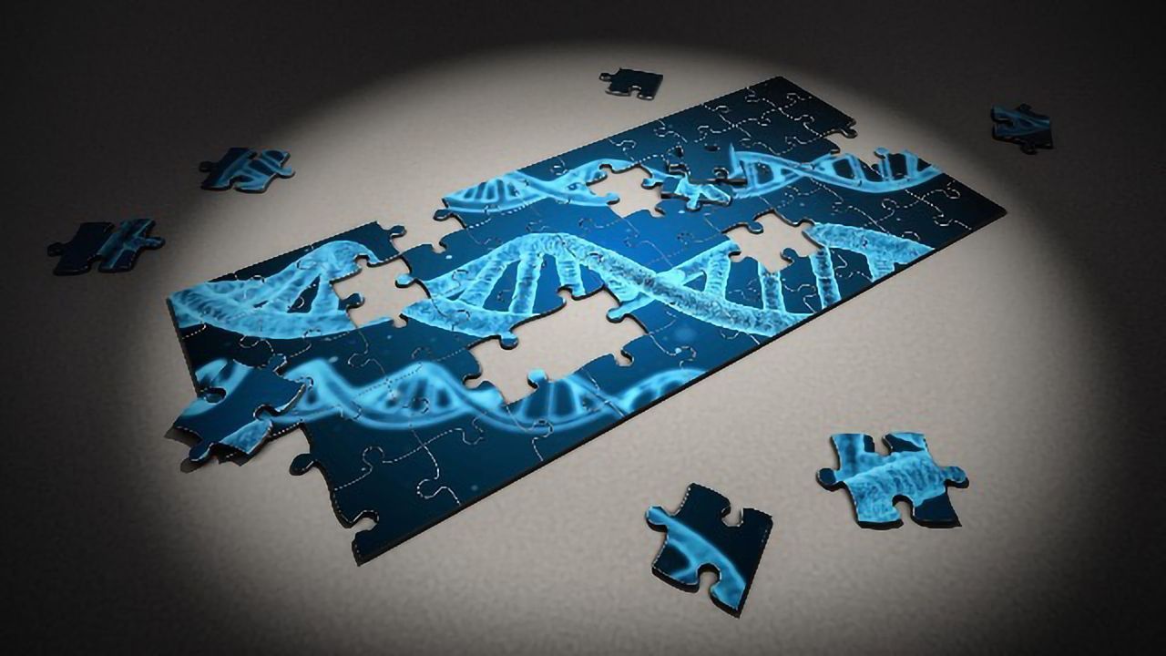 Companion Diagnostic Will Support NSCLC Clinical Trials