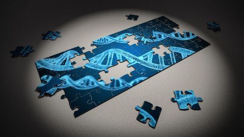 Companion Diagnostic Will Support NSCLC Clinical Trials