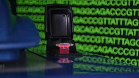DeNovix Launches New RNA Quantification Assay