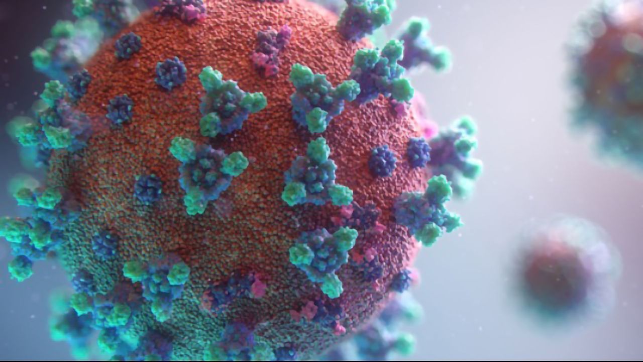 How Does SARS-CoV-2 Invade Our Bodies So Easily?