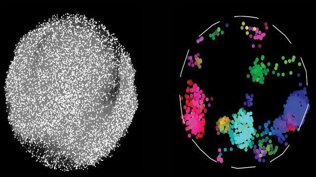 Largest Map of Protein Connections Holds Clues to Health and Disease content piece image 