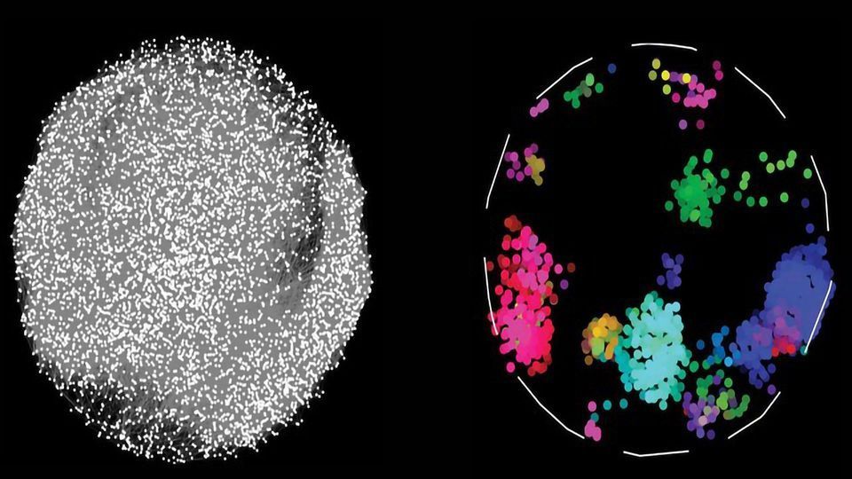 Largest Map of Protein Connections Holds Clues to Health and Disease content piece image