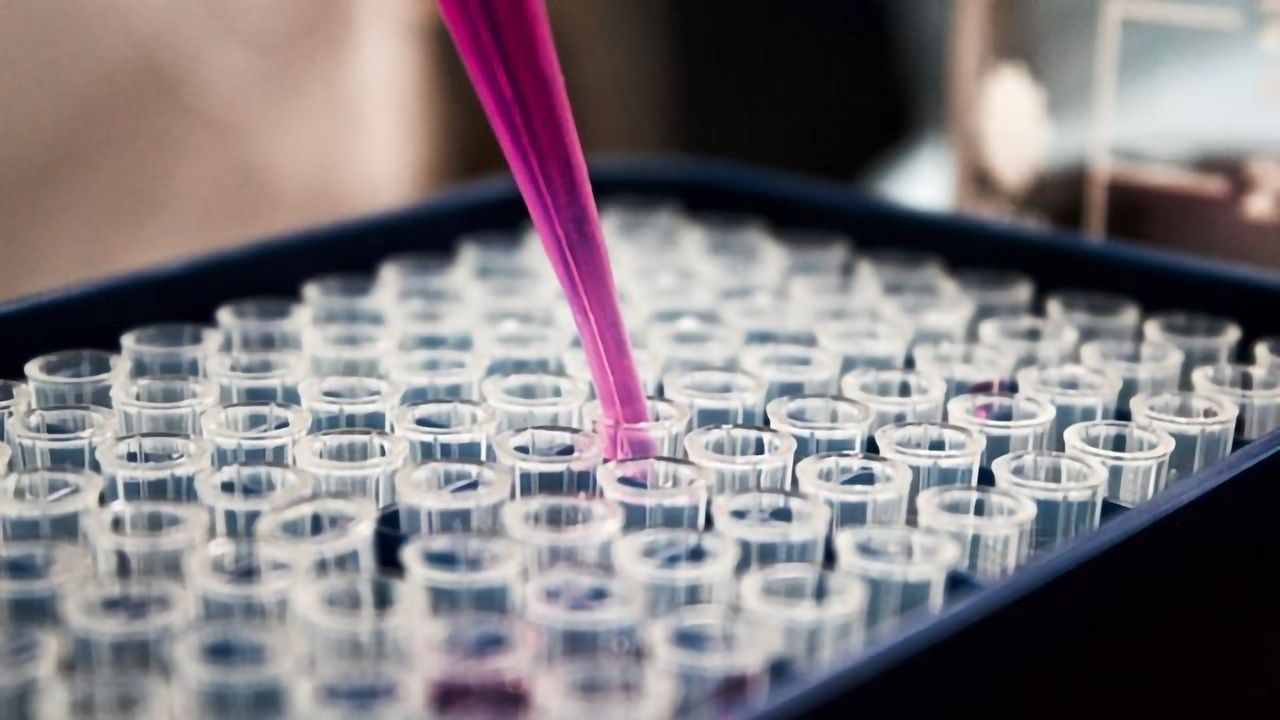Molecular Testing – Closing the Gap Between TB Detection and Treatment