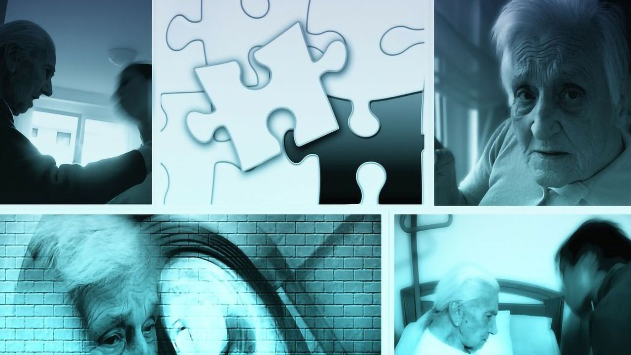 New Study Finds Modifiable Risk Factors Could Play a Role in Alzheimer’s Disease