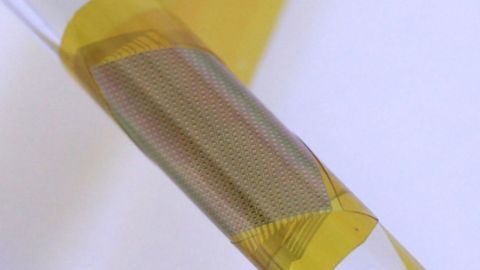 Researchers Have Demonstrated the Ability to Implant Ultrathin, Flexible Neural Interface Into the Brain