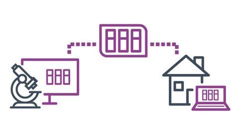 Free Remote Pathology Solution for Healthcare Institutions Affected by COVID-19