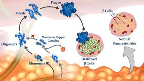 Unraveling Interactions To Understand Disease