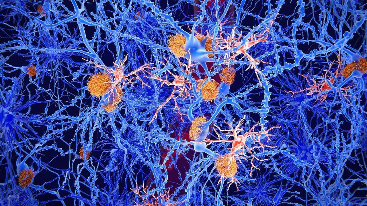 Brain Injury-suppressing Drug Passes Human Safety Testing