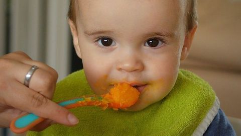Lack of Dark Green Vegetables in Many Commercial Baby Foods