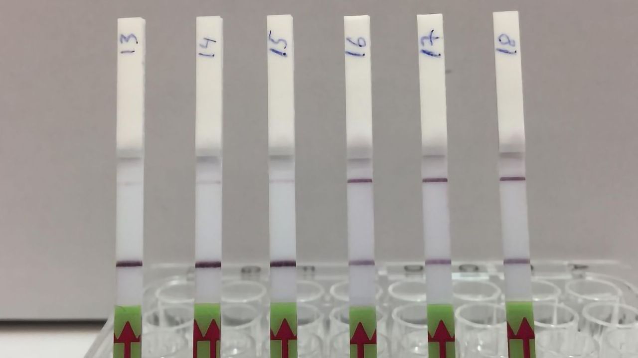 New CRISPR Diagnostic Test for Kidney Transplant Patients