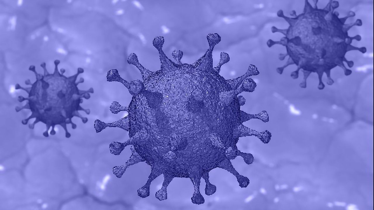 Rapid Lab-free COVID-19 Test Delivers Results in Just Over an Hour