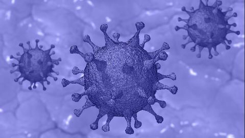 Rapid Lab-free COVID-19 Test Delivers Results in Just Over an Hour