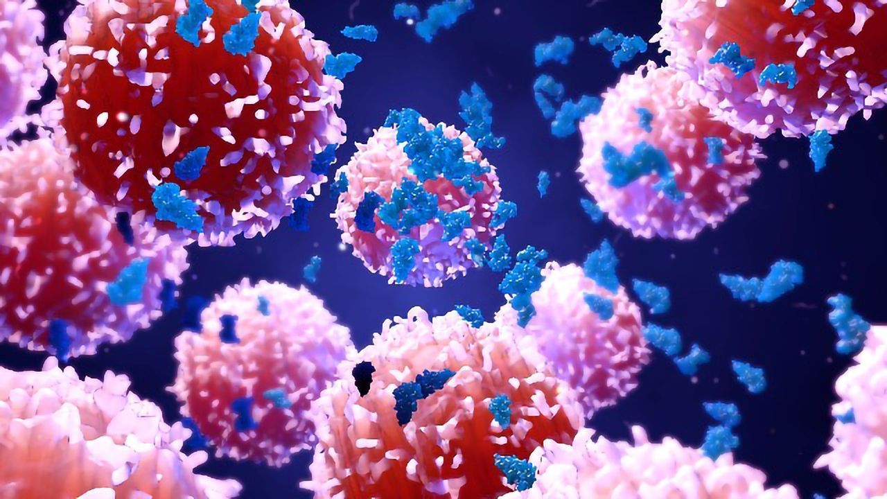 High Sensitivity Proteomics: Immunopeptidomics