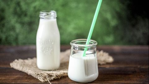 Cellular Agriculture – Moving Towards a More Sustainable Method of Milk Production