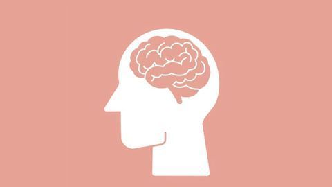 Gene-network Analysis a Valuable Resource for Understanding Alzheimer's Disease