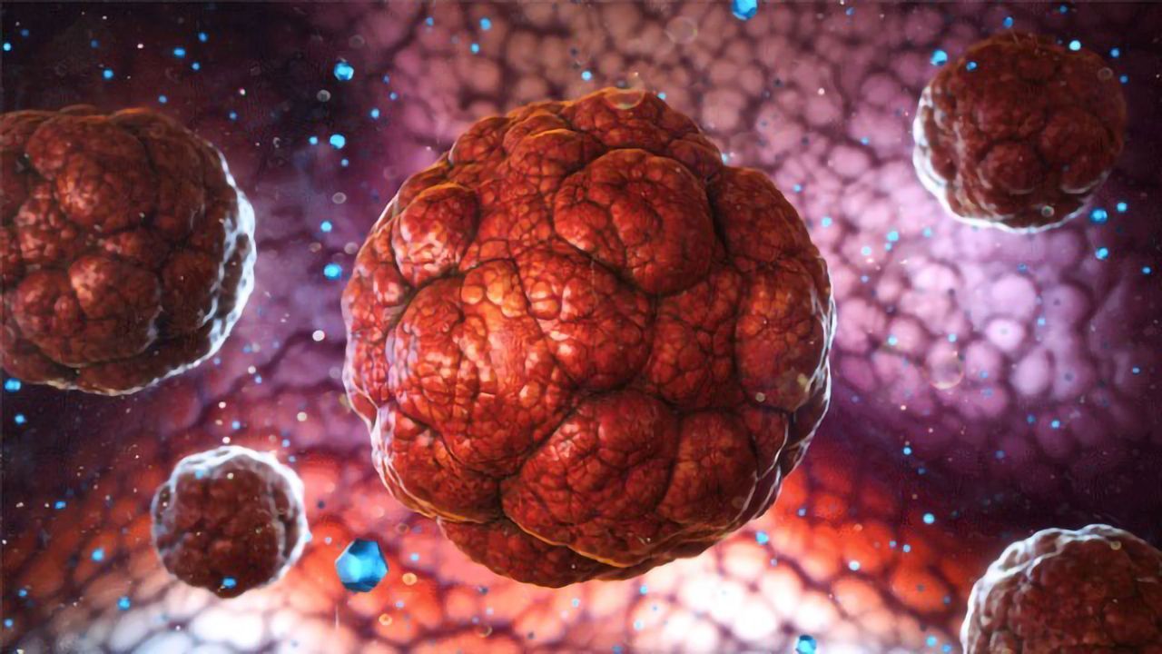 Experimental Drug Prevents Tumor Regrowth in Mice