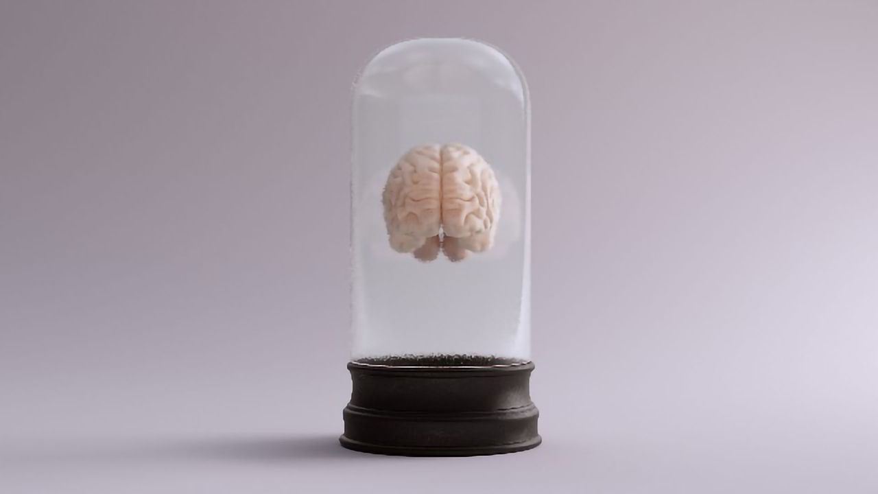 Gene Activation Explains Why the Two Sides of Our Brain Are Different