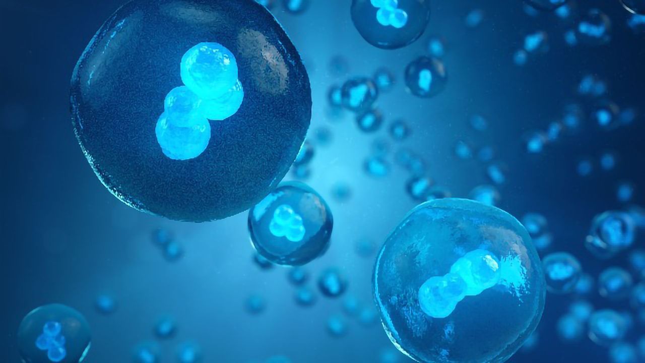 Making Allogeneic Cell Therapy a Reality for Patients: An Interview With Allogene Therapeutics