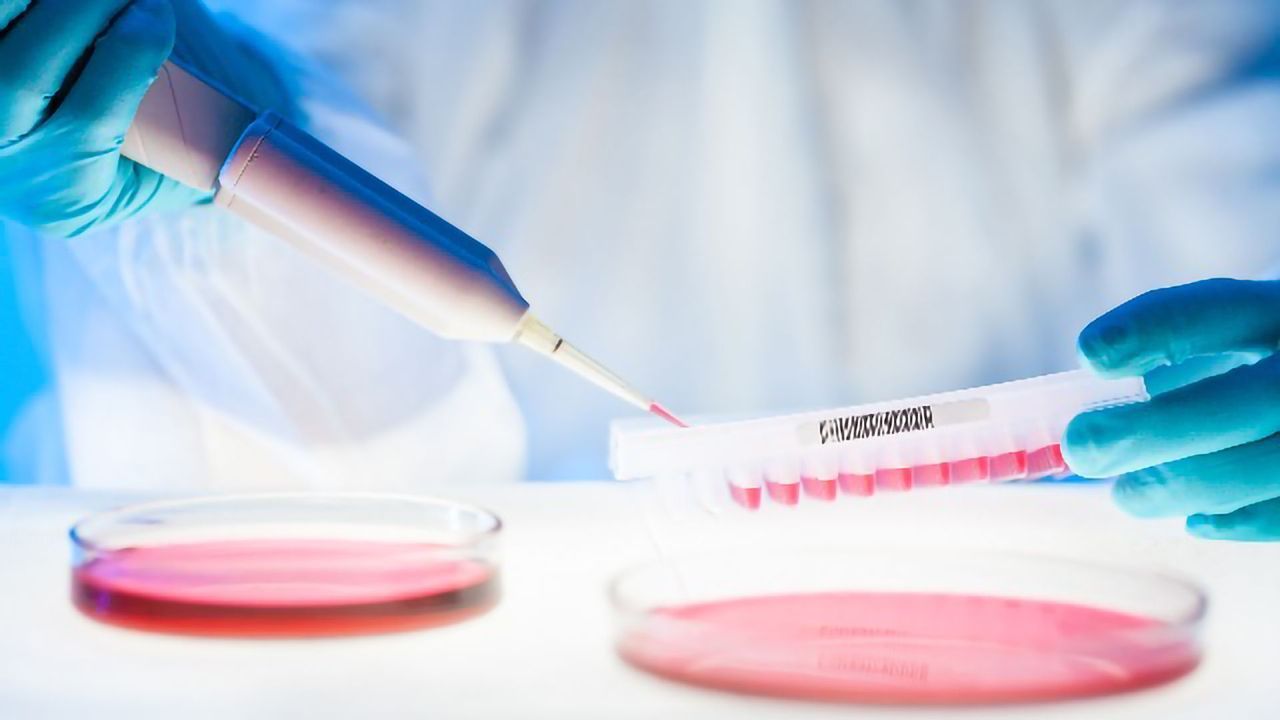 Keratin Scaffolds Could Advance Regenerative Medicine