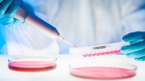 Keratin Scaffolds Could Advance Regenerative Medicine
