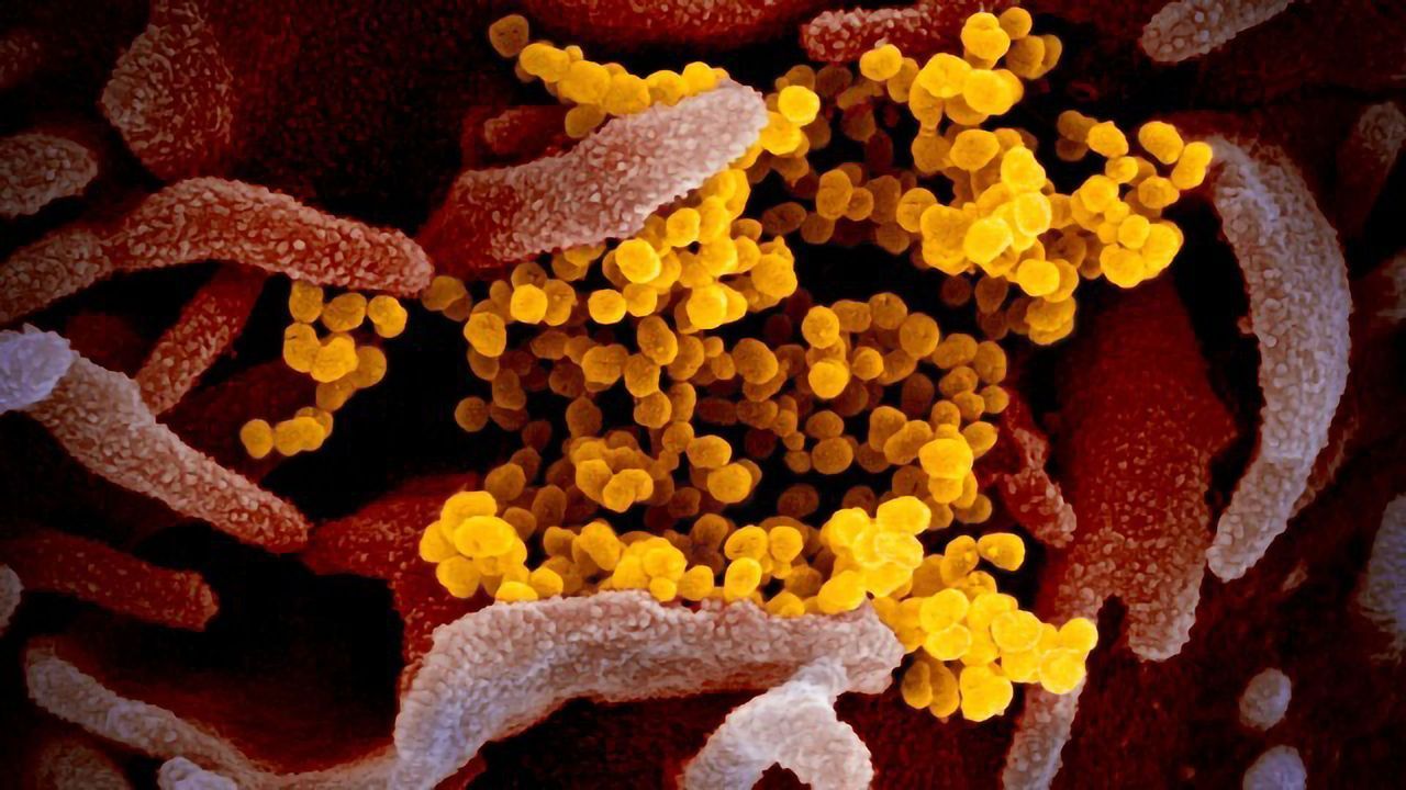 New COVID-19 Test Quickly and Accurately Detects Viral RNA