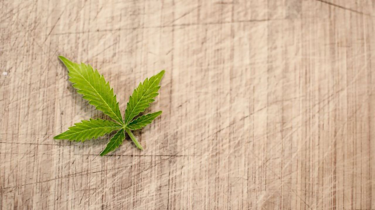 Could Cannabis Labs Help With COVID-19 Testing Backlogs?