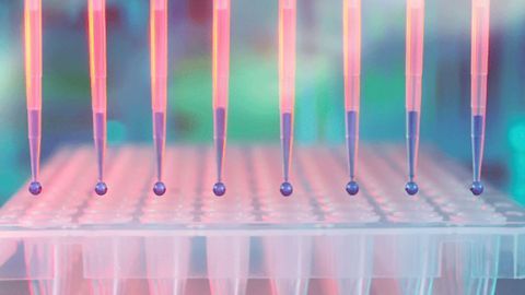 An International Effort To Repurpose Existing Drugs Against COVID-19