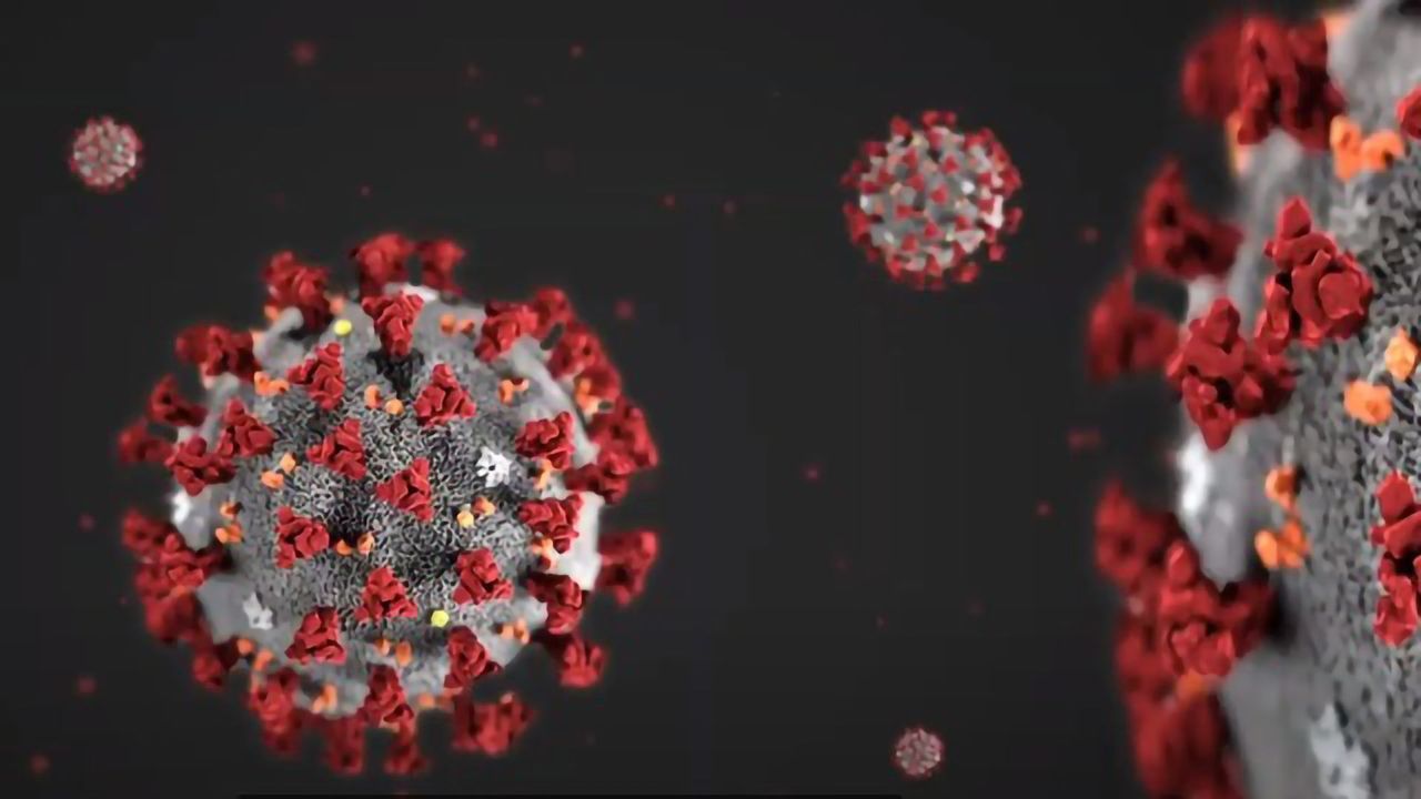 The Search for Coronavirus Vaccines and Treatments