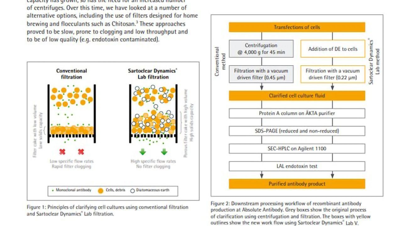 Rapid Mammalian Cell Harvest Without Centrifugation for Antibody Purification