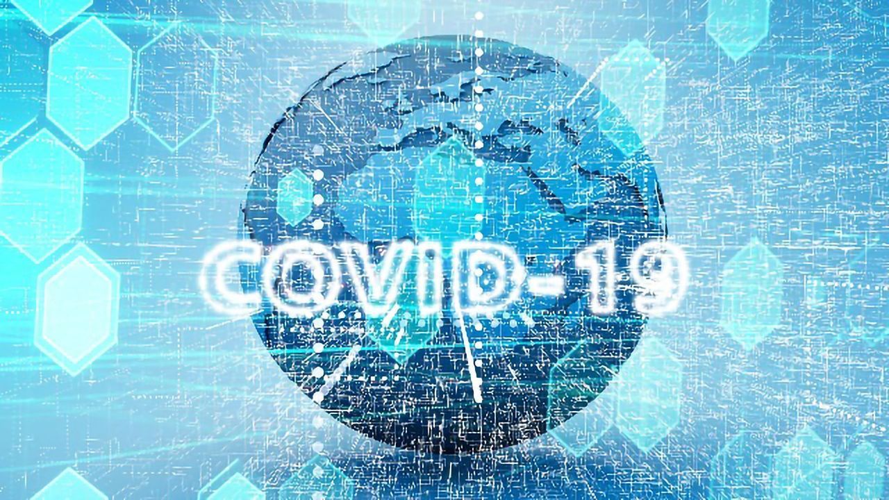 Tracking the Spread and Mutations of Coronavirus (COVID-19)