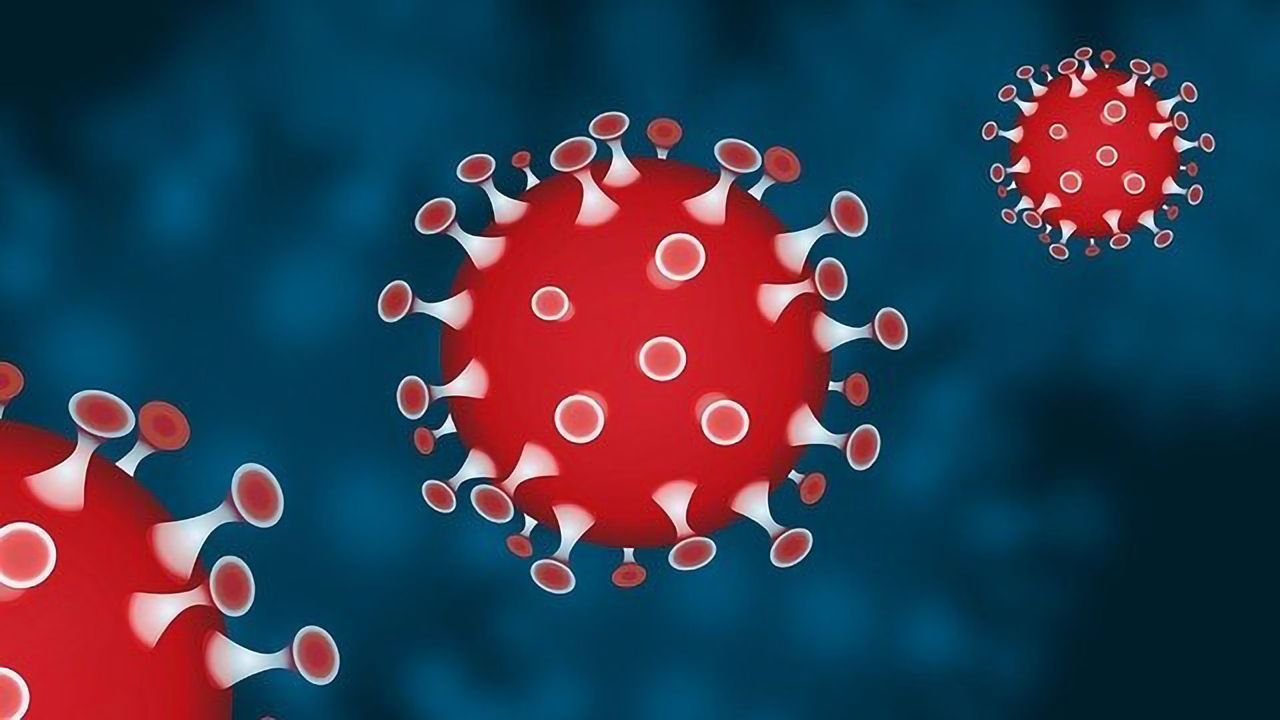 COVID-19 Severity May Be Impacted by Individual Immune System Genetic Differences