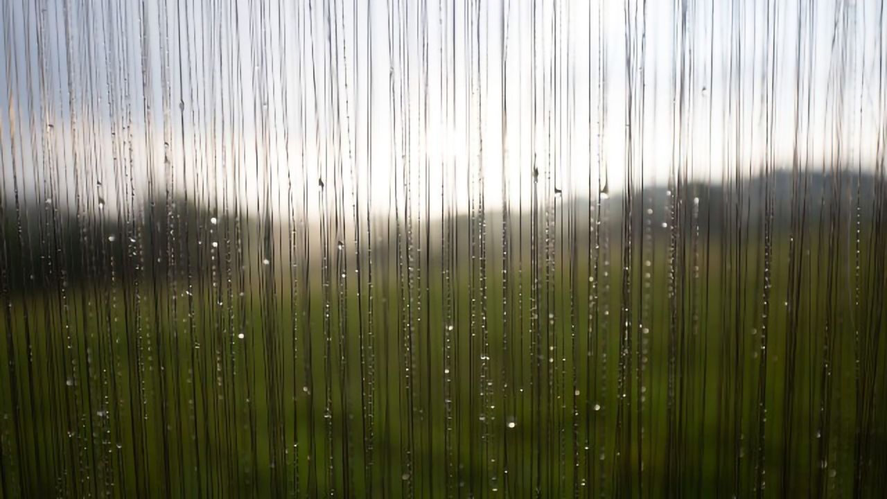 Playing the Fog Harp Delivers More Than They'd Hoped