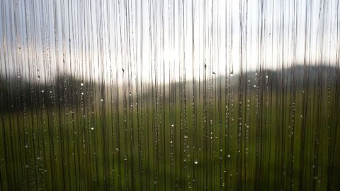 Playing the Fog Harp Delivers More Than They'd Hoped