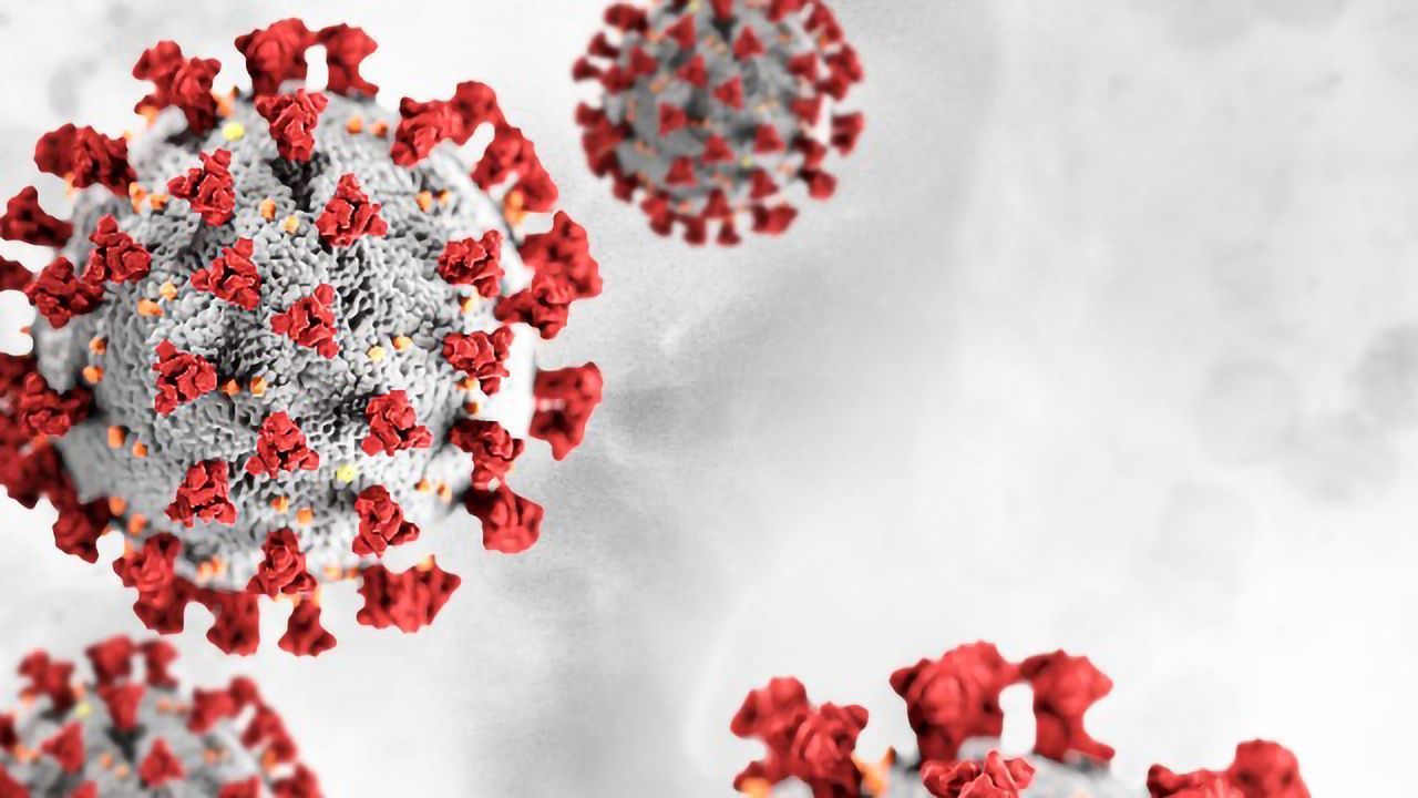 Remdesivir Prevents Disease Progression in Monkeys With COVID-19