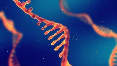 New Ways To Understand How SARS-CoV-2 Is Evolving