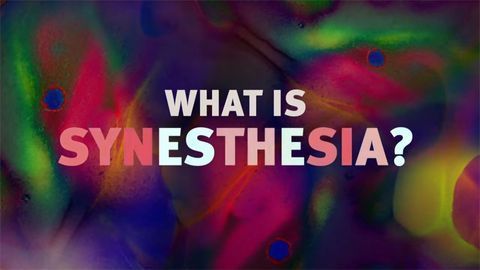 What Is It Like To Have Synesthesia?