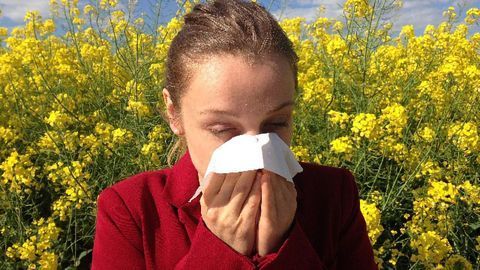 A Nasal Smear To Diagnose Allergies