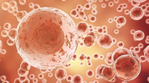 Leap-In Transposase® Bundled With VIPS™ Single Cell Cloning Instrument for Cell Line Development