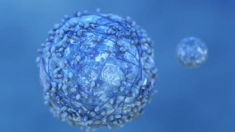 FDA Approves First Targeted Treatment for Patients With Bile Duct Cancer