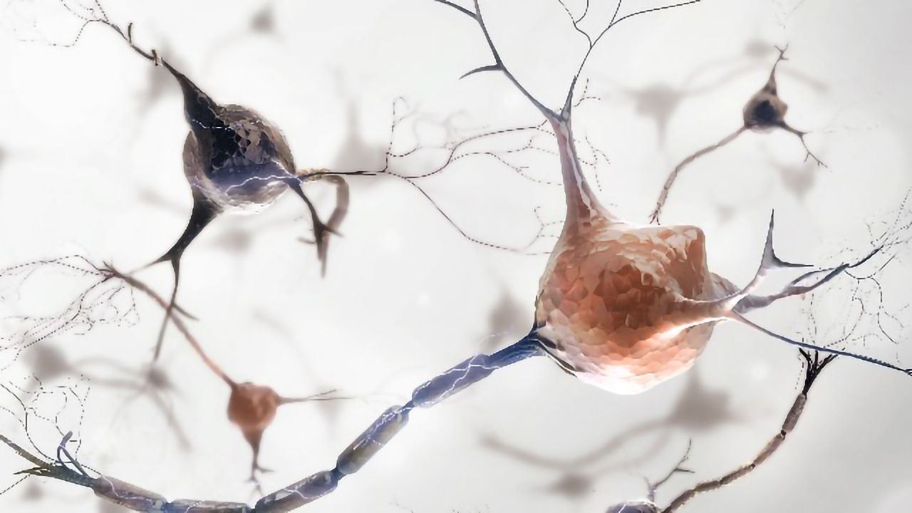 Targeting Monocytes – A New Therapeutic Strategy for Multiple Sclerosis