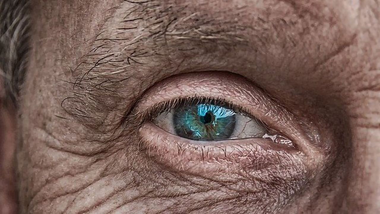 Team Pinpoints Potential Therapeutic Target for Eye Disease