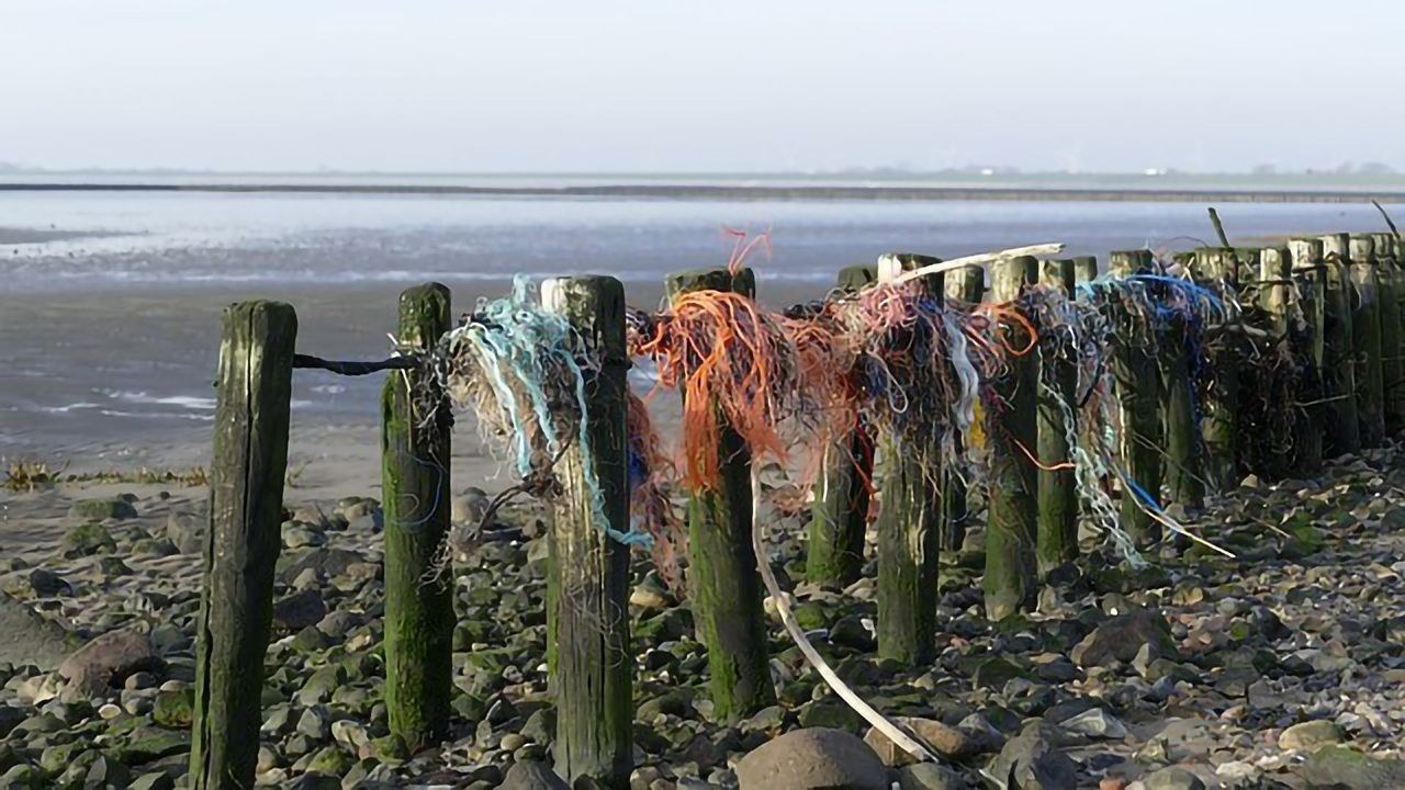 Faster Degrading Plastics Could Mean Cleaner Seas