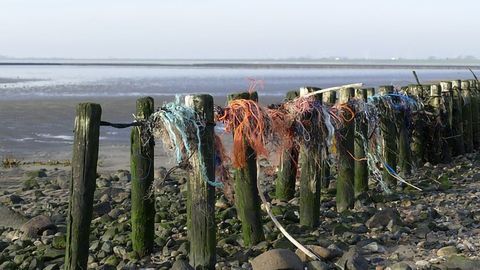 Faster Degrading Plastics Could Mean Cleaner Seas