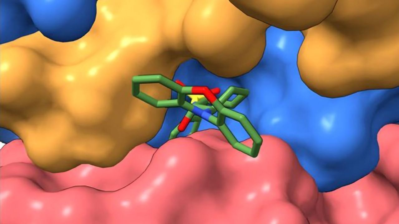 Stabilizing a Key Braking Mechanism in Cancer