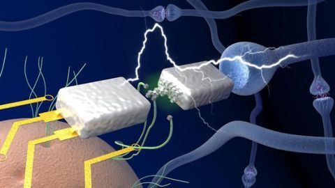World-first Memristor Devices Could Operate Like Brain Synapses