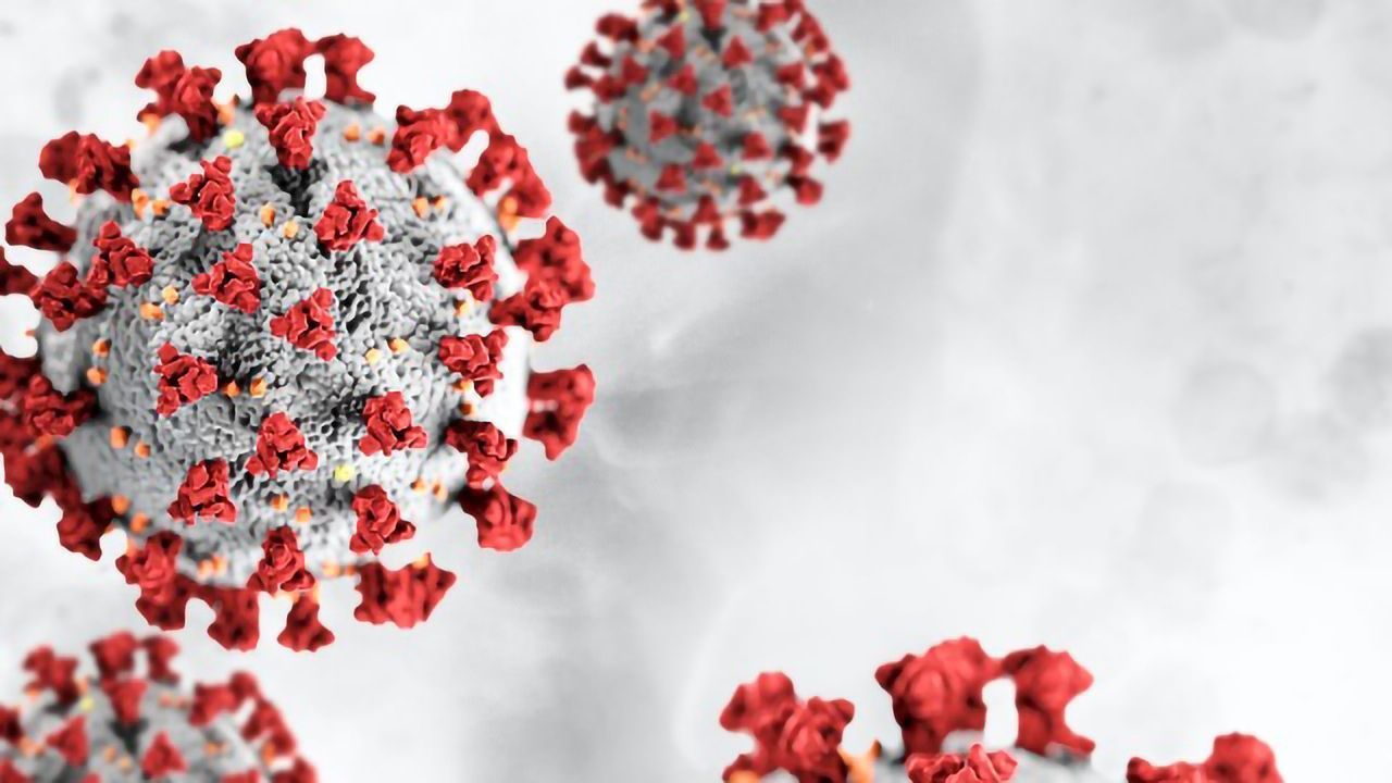 PrecisionLife Offers Analytics Support to Novel Coronavirus Research Community
