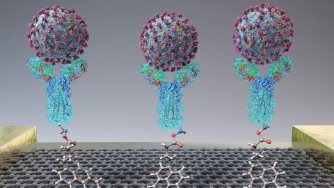 Diagnostic Biosensor Quickly Detects SARS-CoV-2 From Nasopharyngeal Swabs