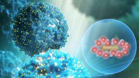 Federal Funding Awarded for Rapid COVID-19 Test