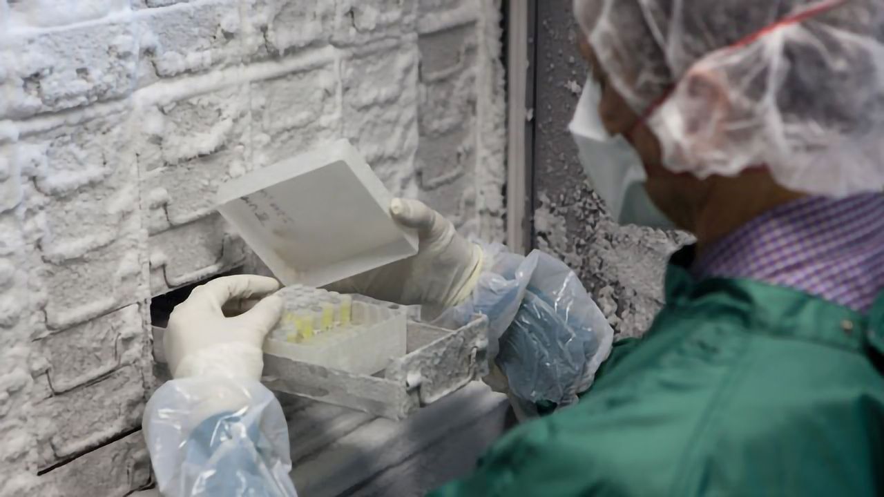 Freezing Life: The Current Trends in Cryopreservation