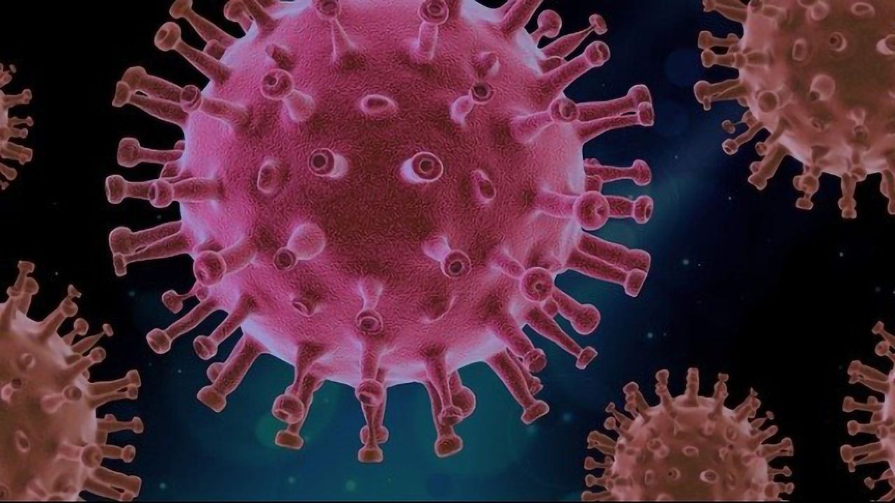 New Understanding of Viral Protein Shell Assembly